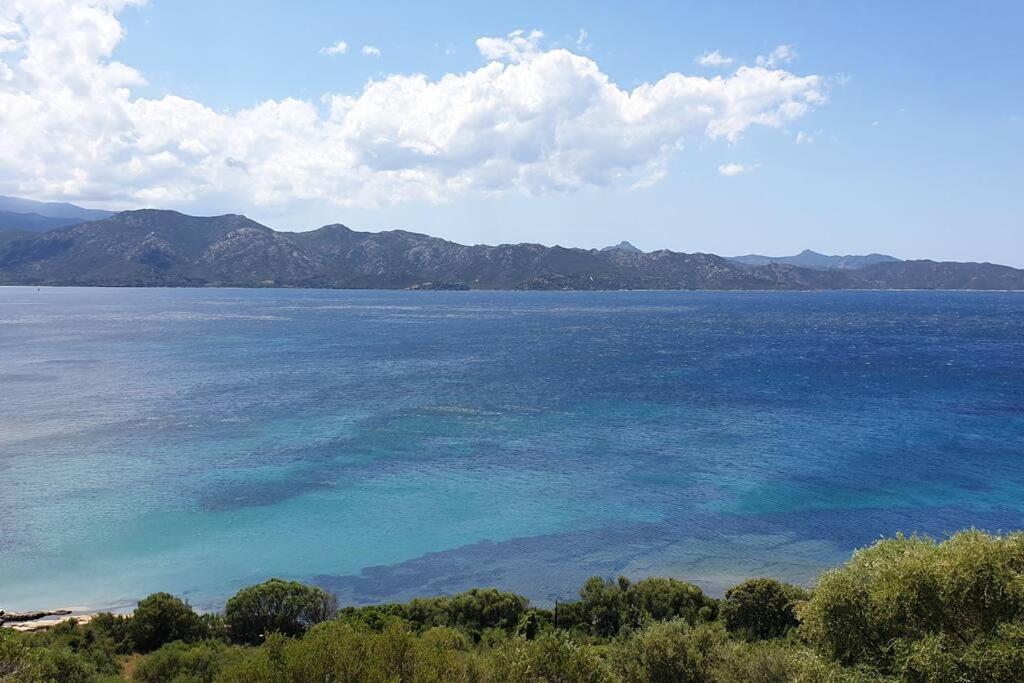 פטרימוניו Appartement Sur La Baie De Saint Florent מראה חיצוני תמונה