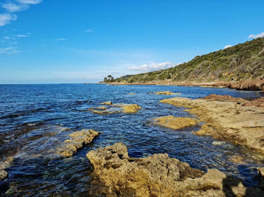 פטרימוניו Appartement Sur La Baie De Saint Florent מראה חיצוני תמונה