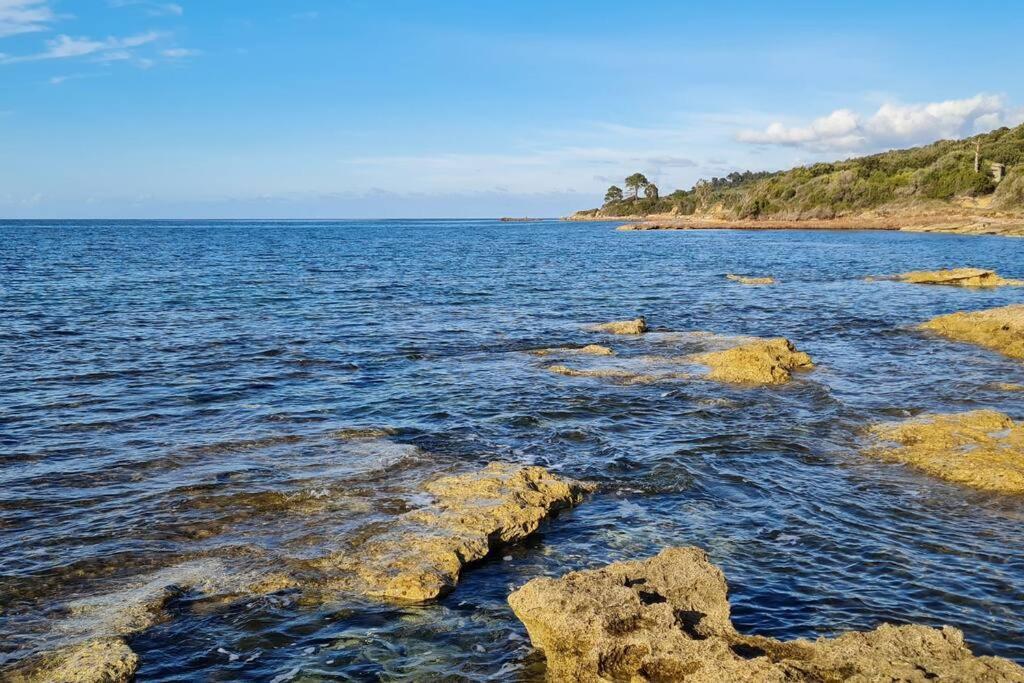 פטרימוניו Appartement Sur La Baie De Saint Florent מראה חיצוני תמונה