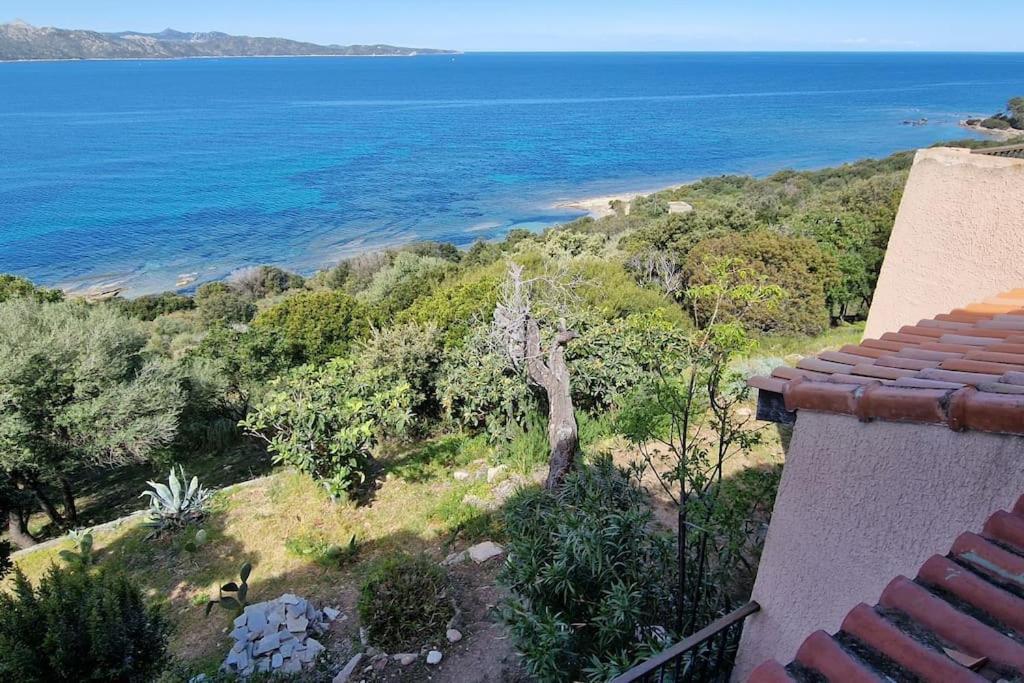פטרימוניו Appartement Sur La Baie De Saint Florent מראה חיצוני תמונה