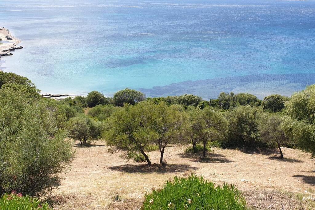 פטרימוניו Appartement Sur La Baie De Saint Florent מראה חיצוני תמונה